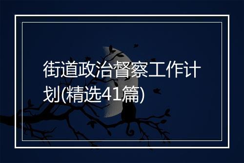 街道政治督察工作计划(精选41篇)