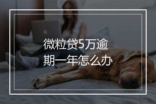 微粒贷5万逾期一年怎么办