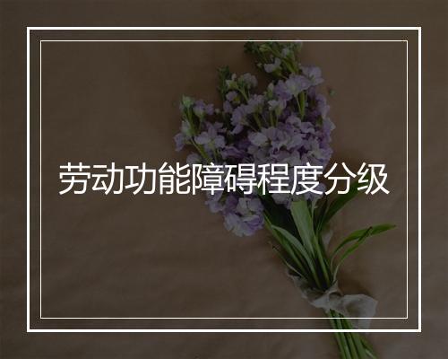劳动功能障碍程度分级