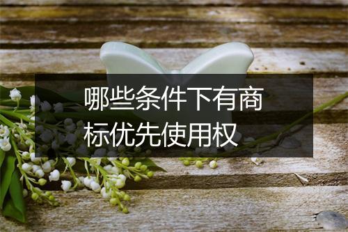 哪些条件下有商标优先使用权