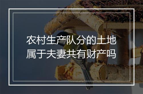 农村生产队分的土地属于夫妻共有财产吗