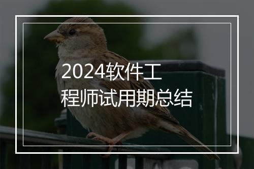 2024软件工程师试用期总结