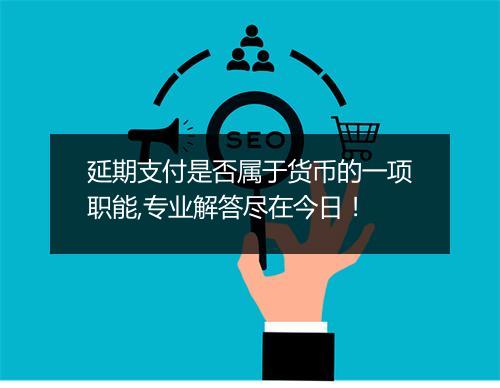 延期支付是否属于货币的一项职能,专业解答尽在今日！