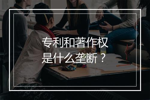 专利和著作权是什么垄断？