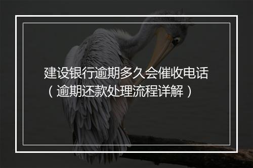 建设银行逾期多久会催收电话（逾期还款处理流程详解）