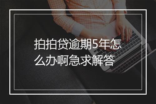 拍拍贷逾期5年怎么办啊急求解答
