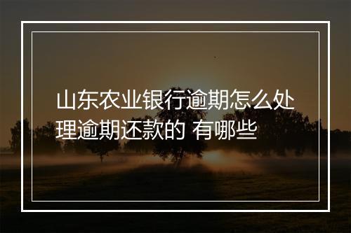 山东农业银行逾期怎么处理逾期还款的 有哪些