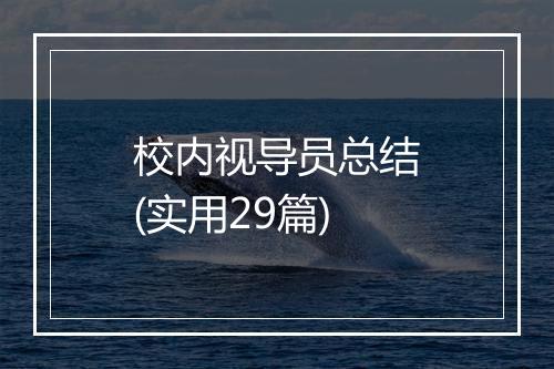校内视导员总结(实用29篇)