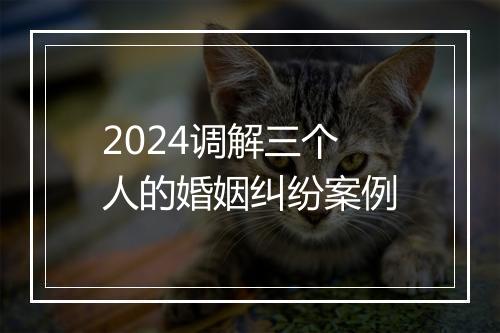 2024调解三个人的婚姻纠纷案例