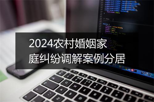 2024农村婚姻家庭纠纷调解案例分居