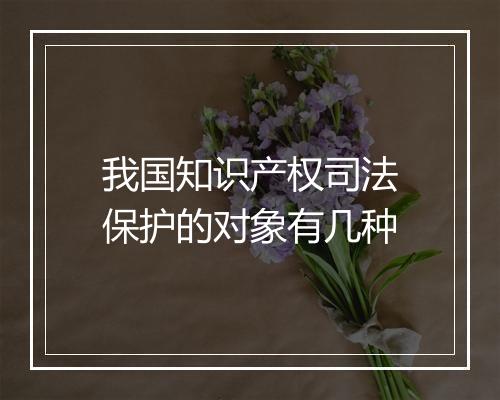 我国知识产权司法保护的对象有几种