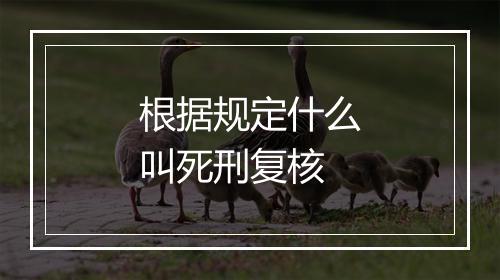 根据规定什么叫死刑复核