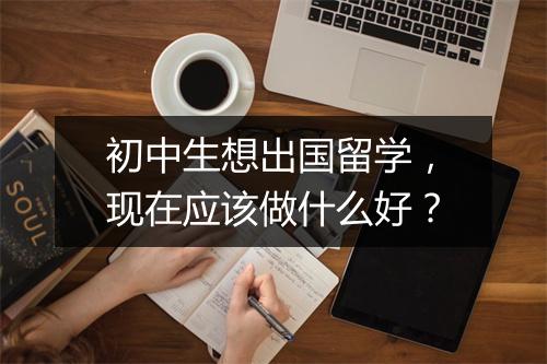 初中生想出国留学，现在应该做什么好？