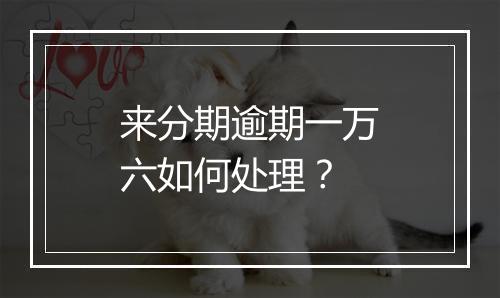 来分期逾期一万六如何处理？