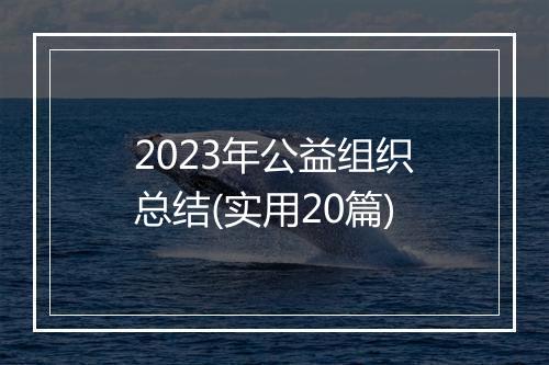 2023年公益组织总结(实用20篇)