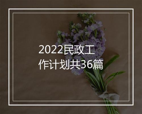 2022民政工作计划共36篇