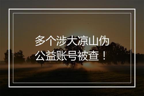多个涉大凉山伪公益账号被查！