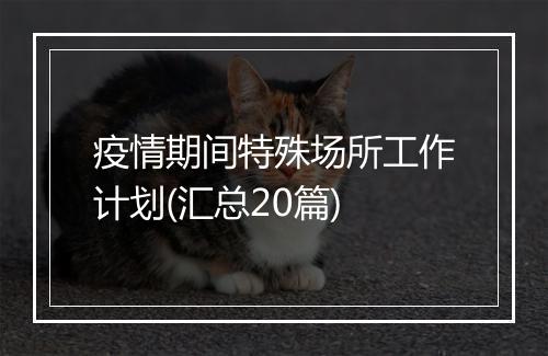 疫情期间特殊场所工作计划(汇总20篇)