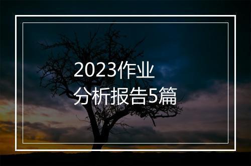 2023作业分析报告5篇
