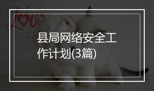 县局网络安全工作计划(3篇)