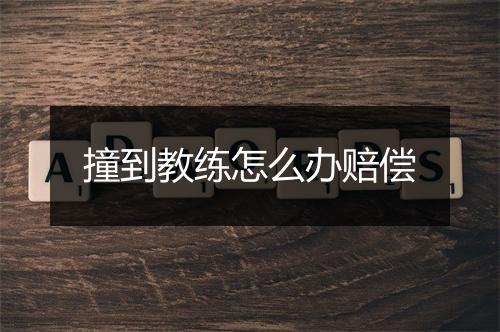撞到教练怎么办赔偿