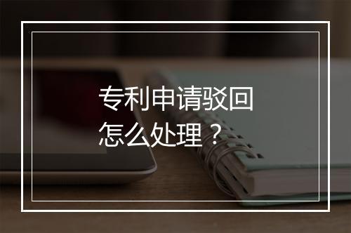 专利申请驳回怎么处理？