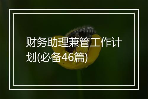 财务助理兼管工作计划(必备46篇)