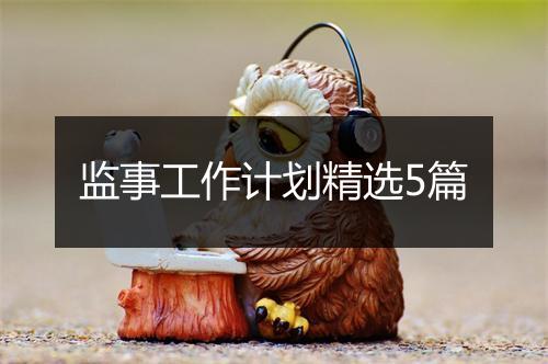 监事工作计划精选5篇
