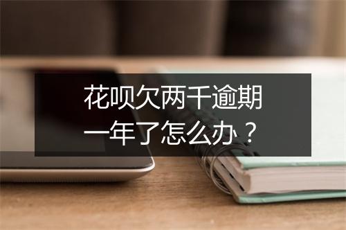 花呗欠两千逾期一年了怎么办？