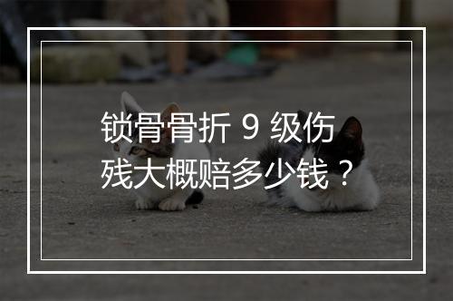 锁骨骨折 9 级伤残大概赔多少钱？