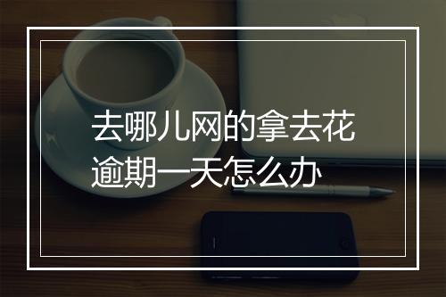 去哪儿网的拿去花逾期一天怎么办
