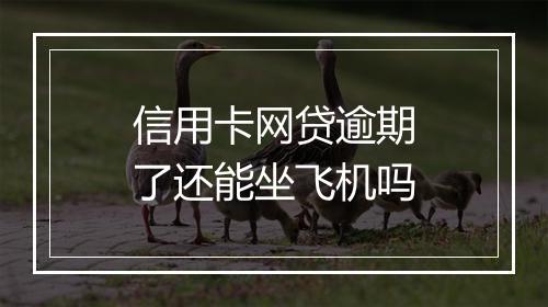 信用卡网贷逾期了还能坐飞机吗