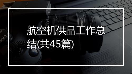 航空机供品工作总结(共45篇)