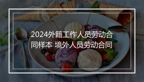 2024外籍工作人员劳动合同样本 境外人员劳动合同