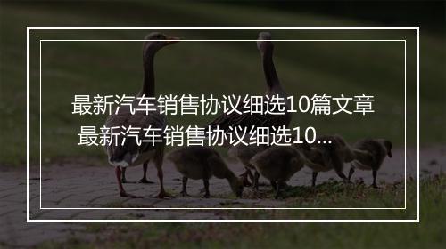 最新汽车销售协议细选10篇文章 最新汽车销售协议细选10篇