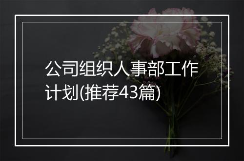 公司组织人事部工作计划(推荐43篇)