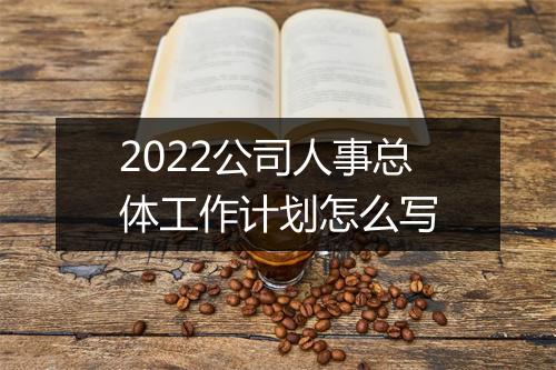 2022公司人事总体工作计划怎么写
