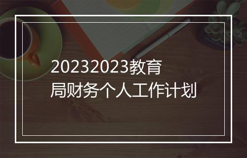20232023教育局财务个人工作计划