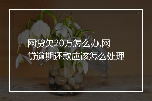 网贷欠20万怎么办,网贷逾期还款应该怎么处理