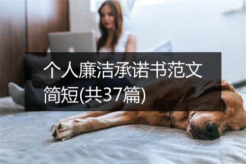 个人廉洁承诺书范文简短(共37篇)