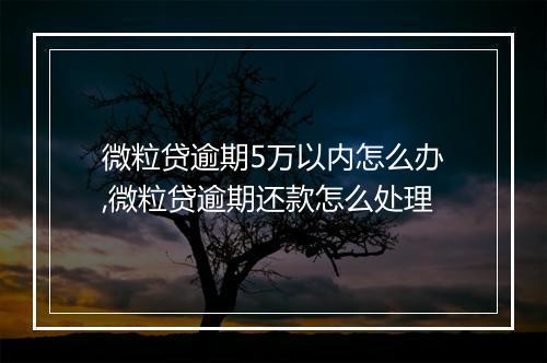 微粒贷逾期5万以内怎么办,微粒贷逾期还款怎么处理