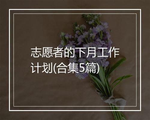 志愿者的下月工作计划(合集5篇)