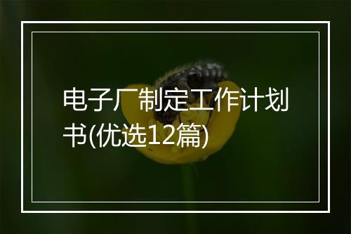电子厂制定工作计划书(优选12篇)