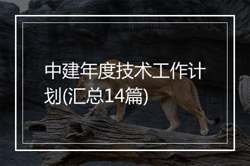 中建年度技术工作计划(汇总14篇)