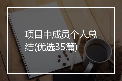 项目中成员个人总结(优选35篇)