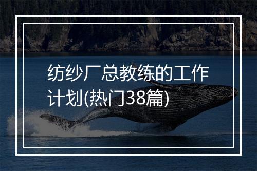 纺纱厂总教练的工作计划(热门38篇)