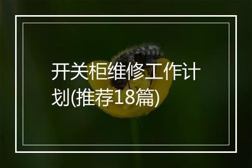 开关柜维修工作计划(推荐18篇)