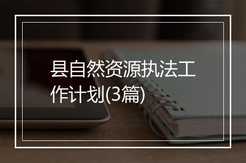 县自然资源执法工作计划(3篇)