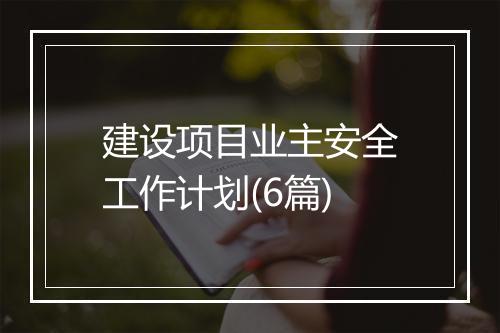 建设项目业主安全工作计划(6篇)