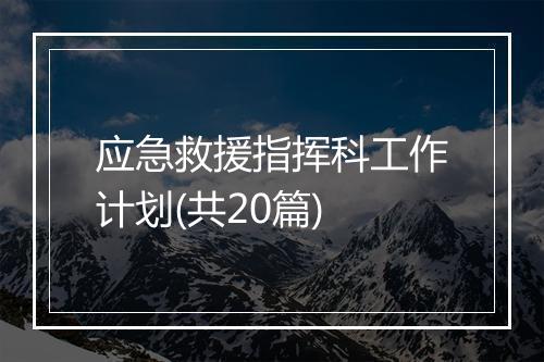 应急救援指挥科工作计划(共20篇)